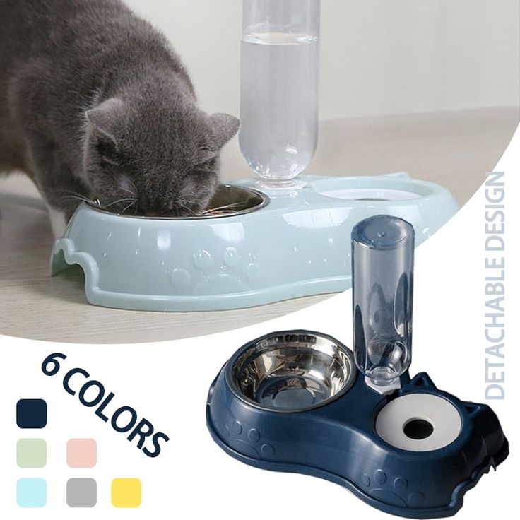 Automatic Single Pet Bowl & Water Dispenser