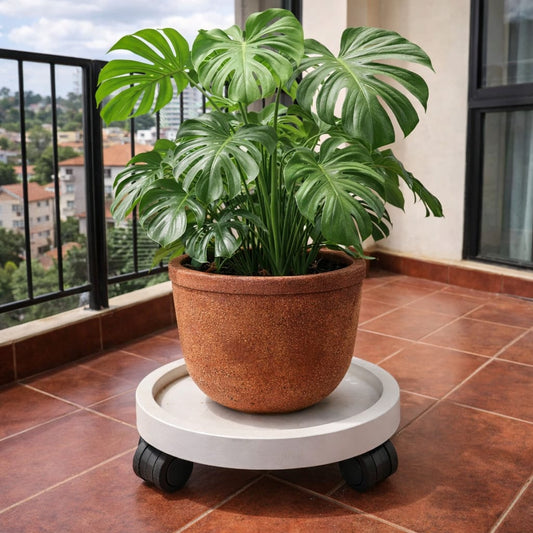 Movable Flower Pot / Gas Cylinder Pallet