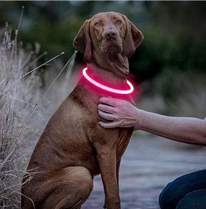 Rechargeable Light-Up Pet Collars