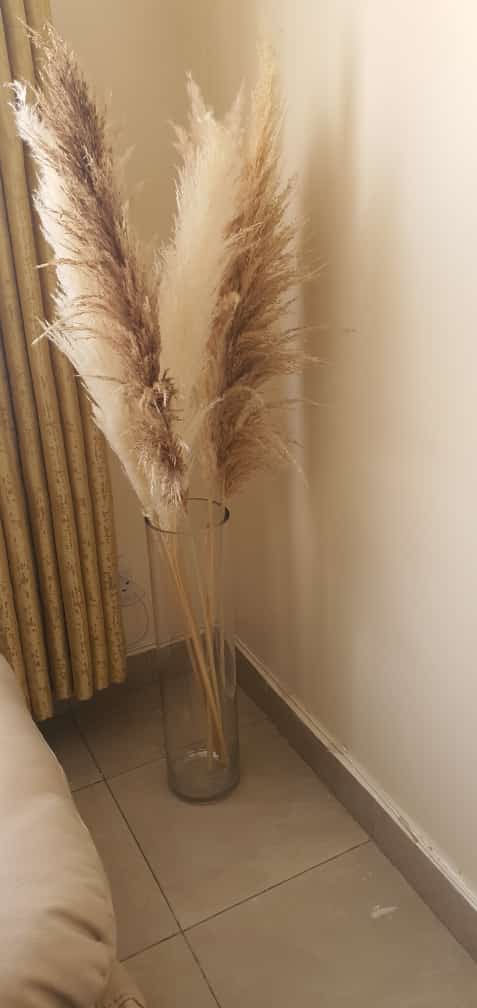 Big Fluffy Pampas Grass – Decorative Dried Flowers
