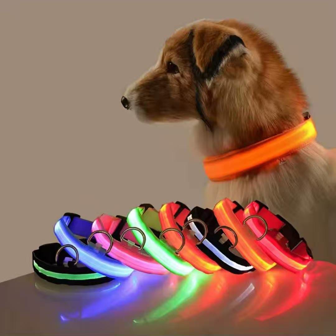 Rechargeable Light-Up Pet Collars