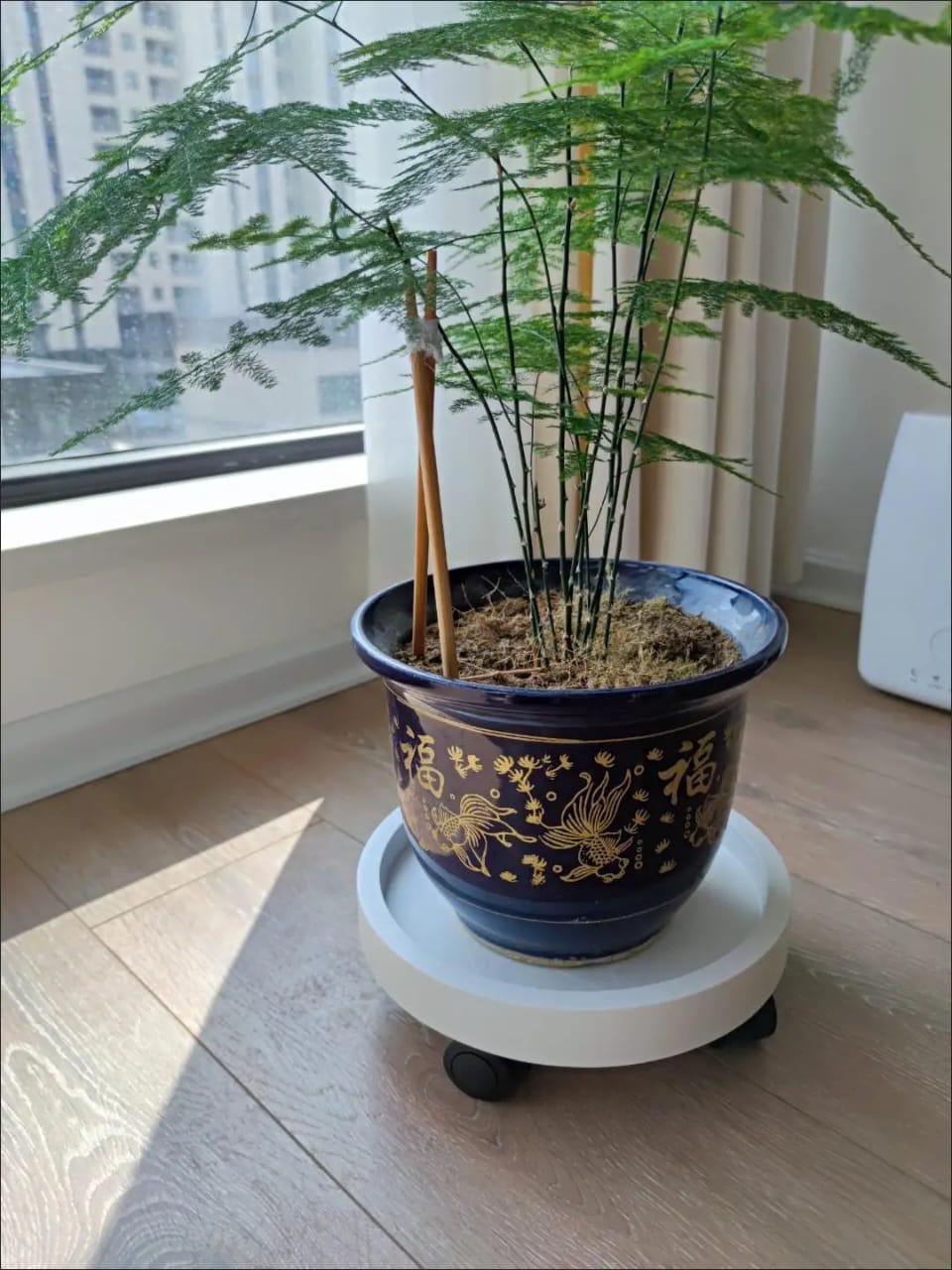 Movable Flower Pot / Gas Cylinder Pallet