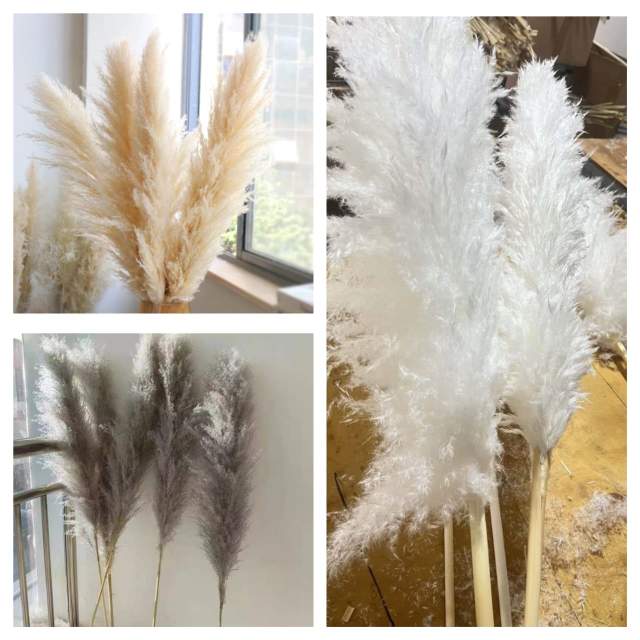 Big Fluffy Pampas Grass – Decorative Dried Flowers