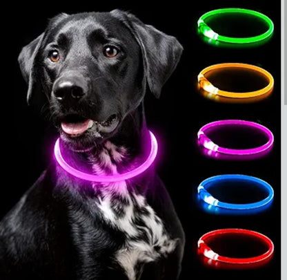 Rechargeable Light-Up Pet Collars