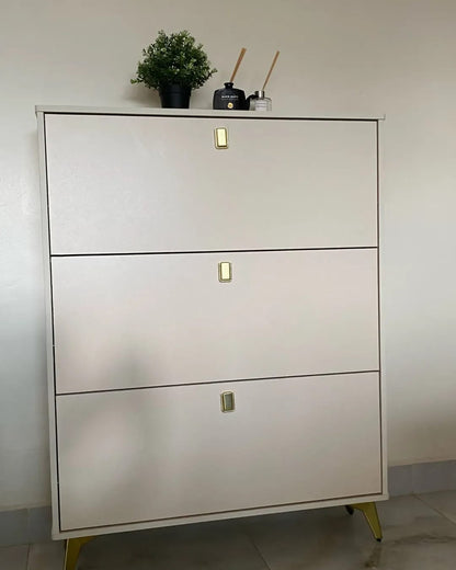 Bucket Flip Double-Layer Shoe Cabinet