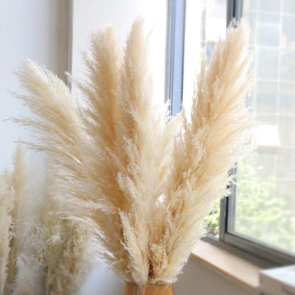 Big Fluffy Pampas Grass – Decorative Dried Flowers