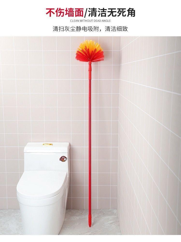 Extendable Cobweb Broom with 6ft Pole