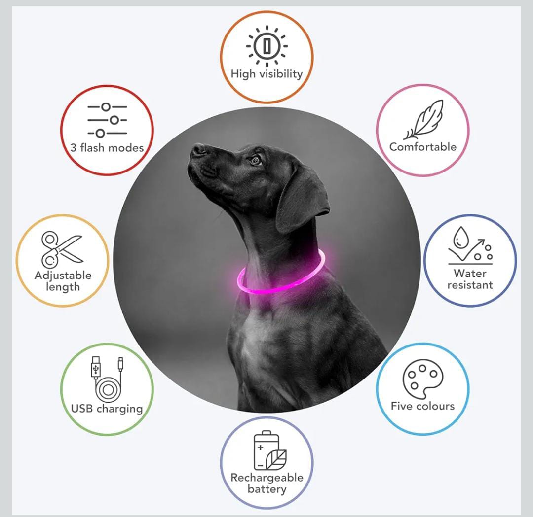 Rechargeable Light-Up Pet Collars